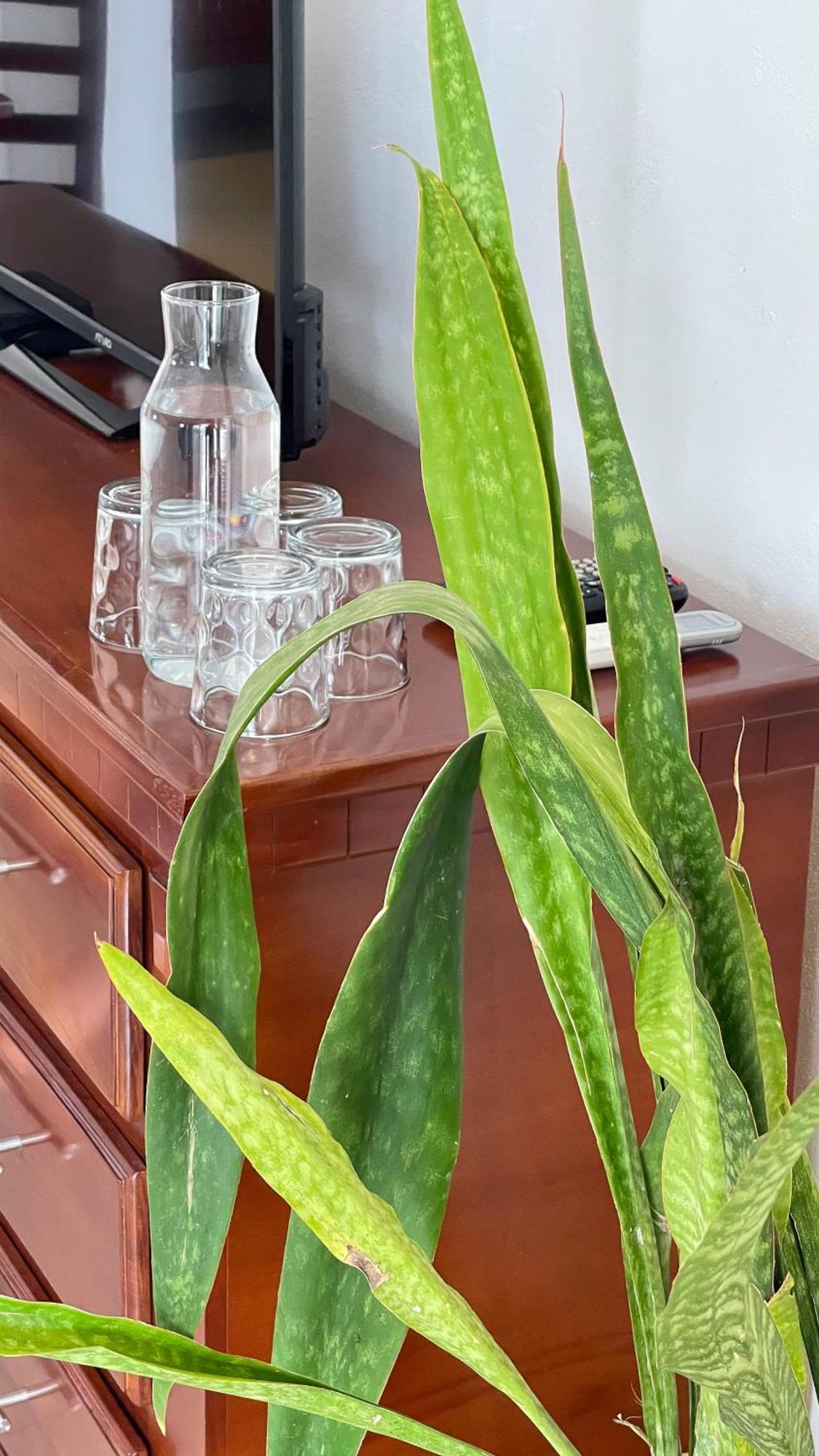 Quinta Alberto Boutique Hotel San Blas Cameră foto